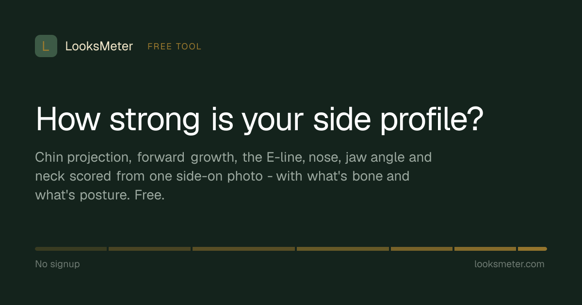 Side Profile Analyzer - Free AI Side Profile Rating & E-Line Test ...